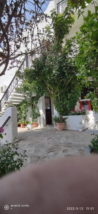 Odysseas Hotel Samos エクステリア 写真